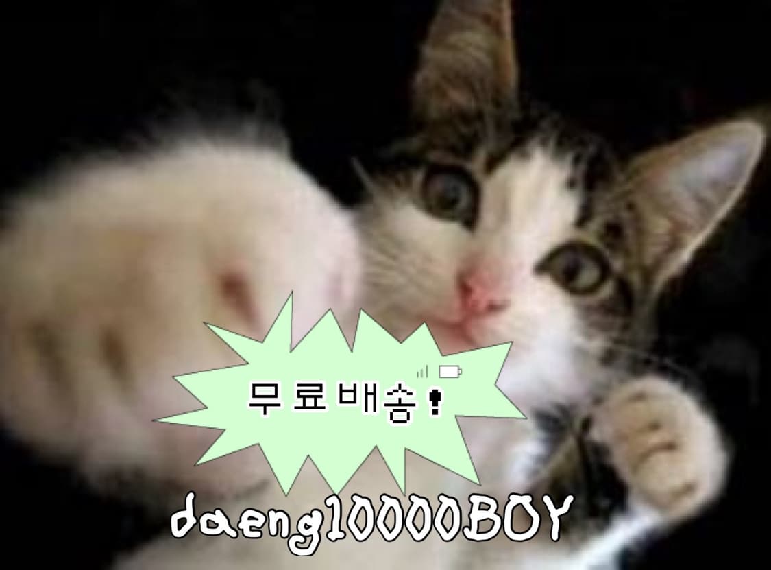 💕무료배송💕 상품이미지1