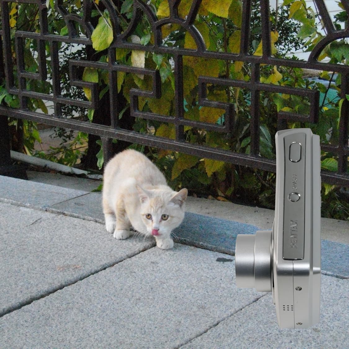 Pentax Optio E60(✨민트급/🎁풀패키지) 상품이미지9