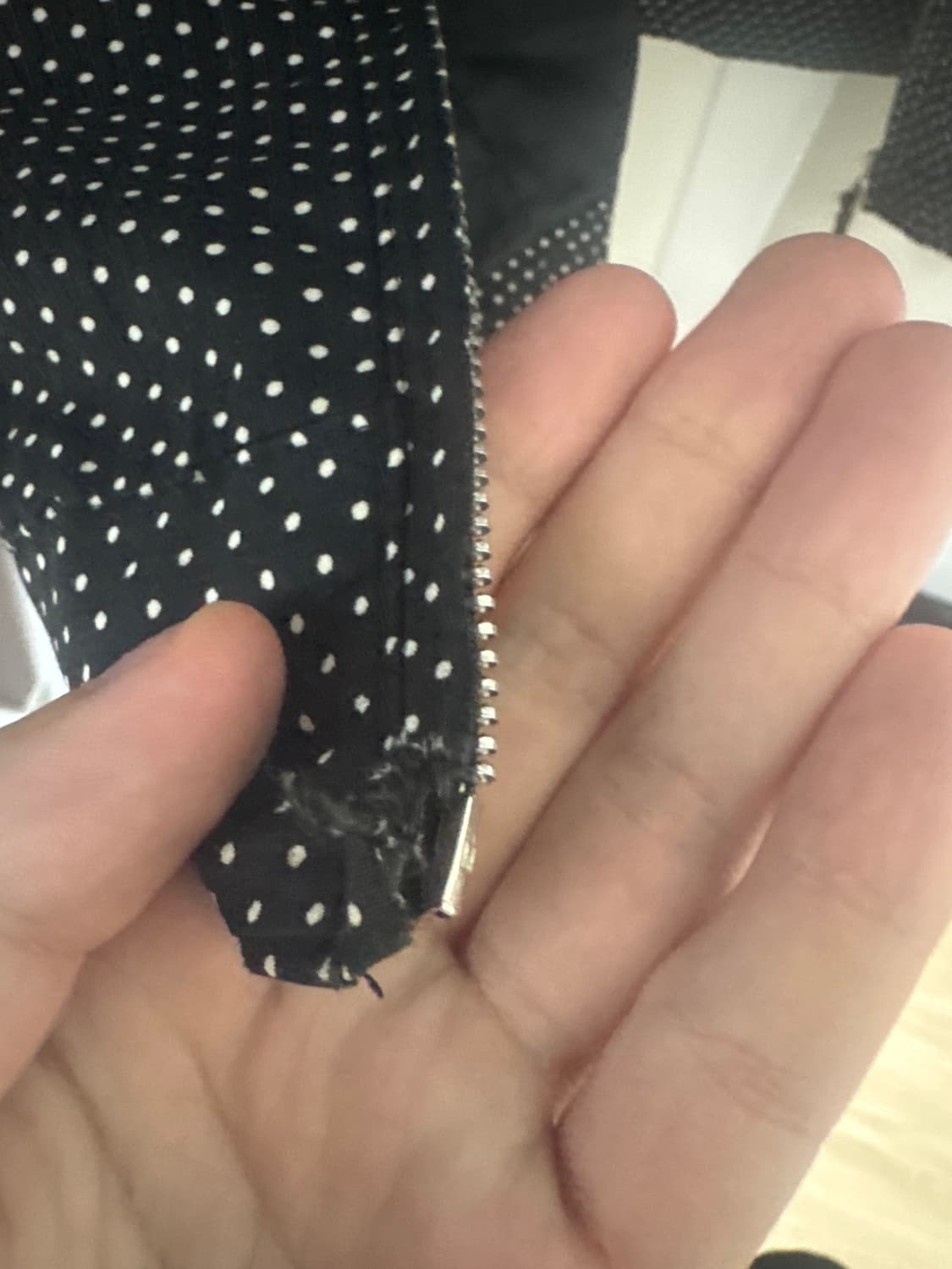 꼼데가르송 옴므 에버그린 자켓 상품이미지6