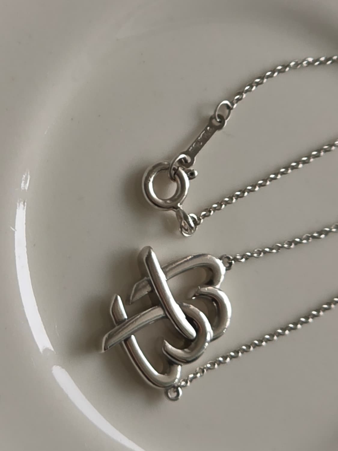 티파니앤코 팔로마 피카소 더블 러빙하트 실버925 목걸이 상품이미지5