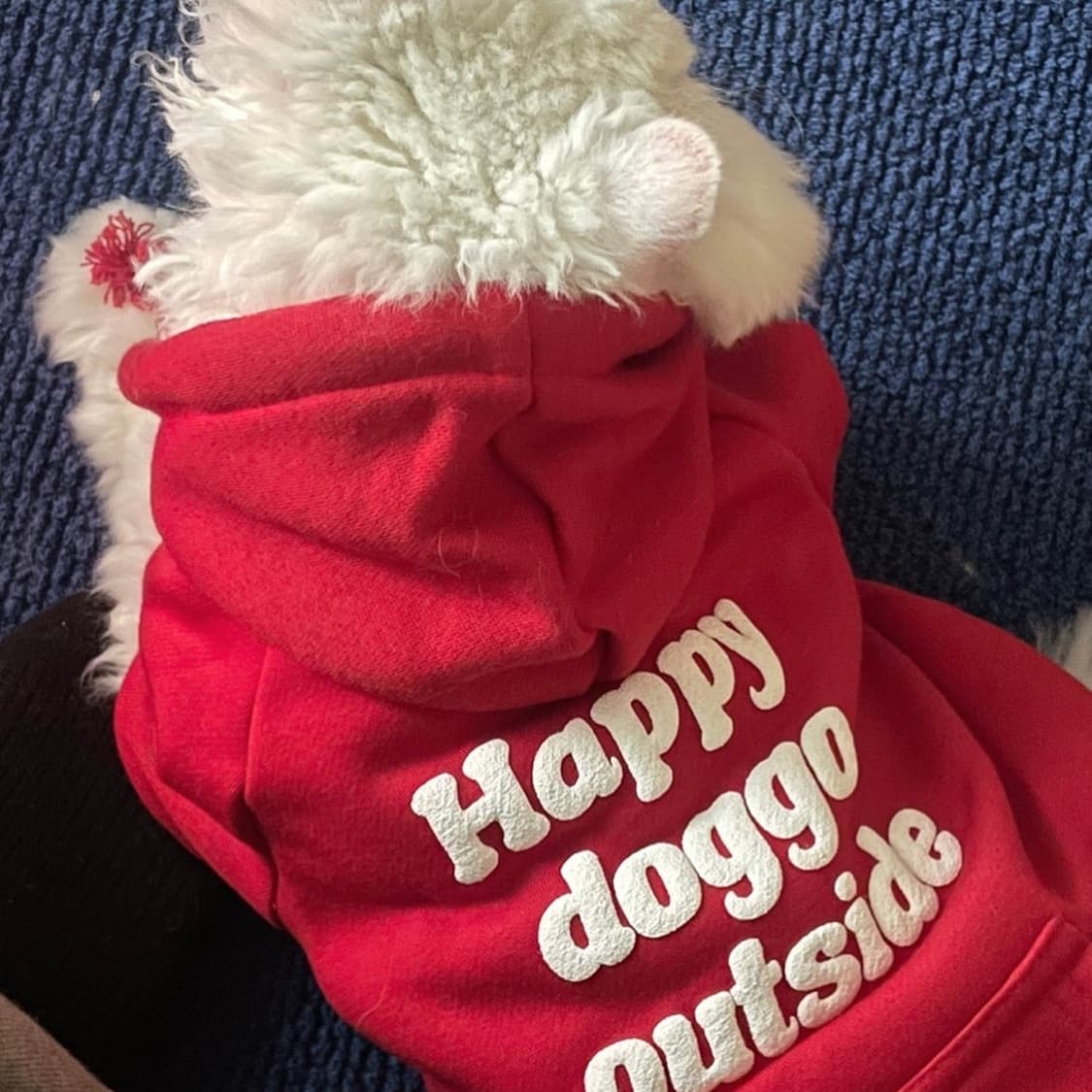 damndaniel 강아지 고양이 후드티  상품이미지3