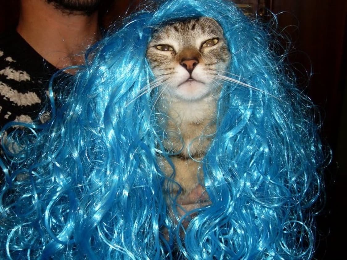 개인결제창 상품이미지1