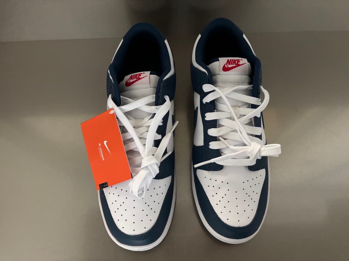 NIKE DUNK LOW RETRO VALERIAN BLUE 280 상품이미지5