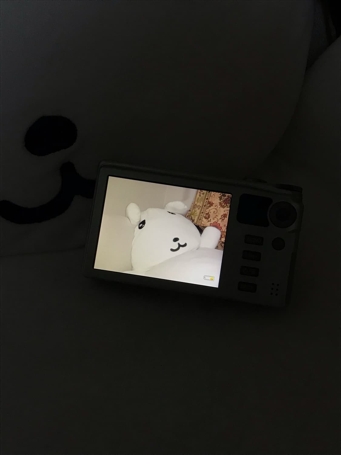 희귀 색상 미품/리코 cx5 디지털 카메라 디카 소프트 포커스 상품이미지3