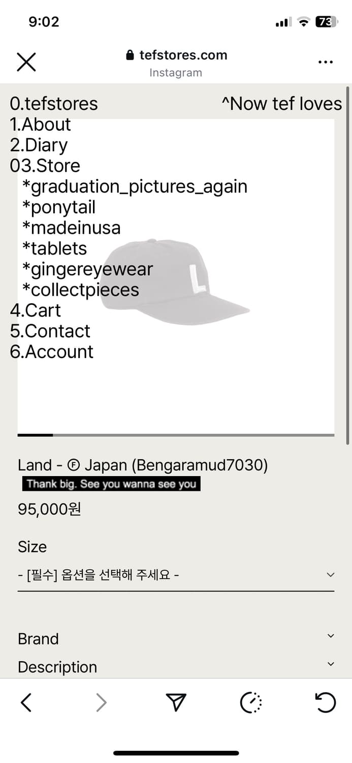 테프스토어 land L로고 L사이즈 팝니다 상품이미지2