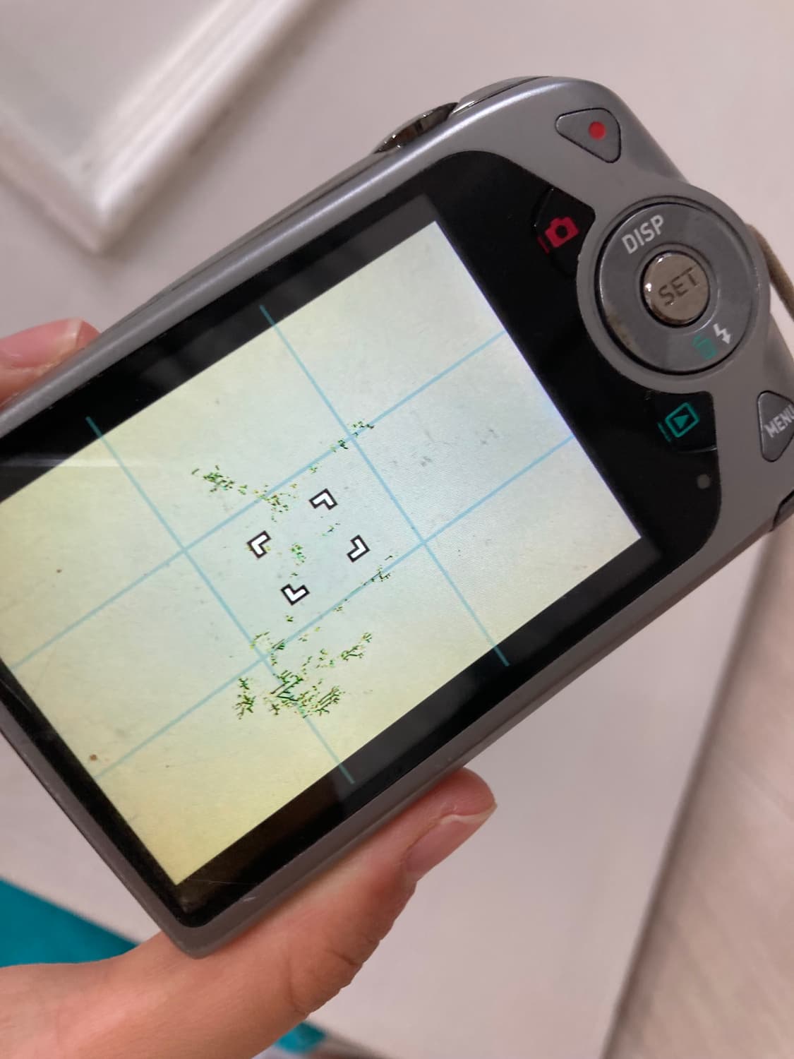 카시오 엑슬림 z2300 블루(민트) 모카 디카 상품이미지4