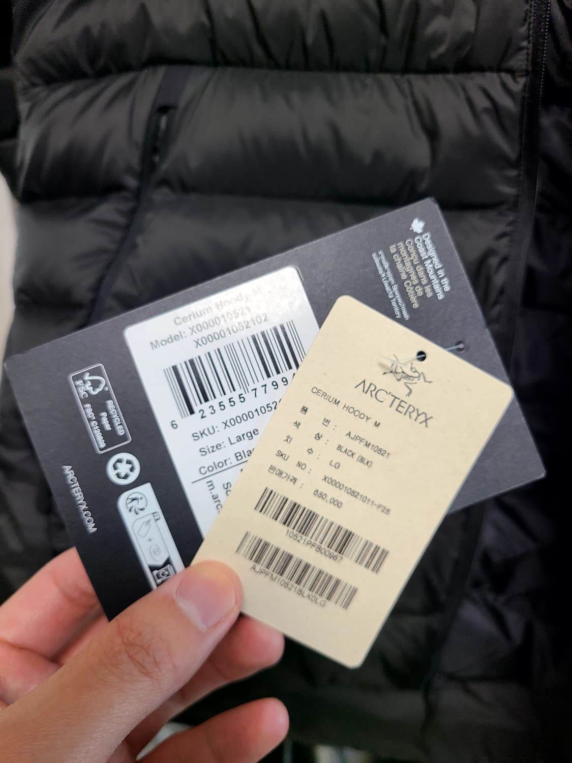 아크테릭스 세륨 블랙 L 팝니다 상품이미지6