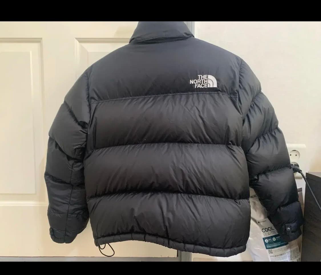노스페이스 에코 눕시 패딩 1996 (M 95) 상품이미지3