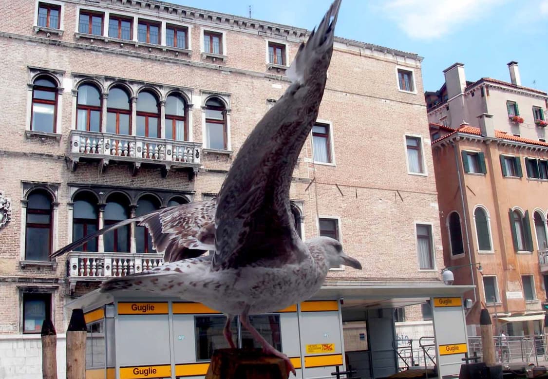 산요작티 sanyo xacti E6 빈티지 디카 (MINT) 상품이미지6