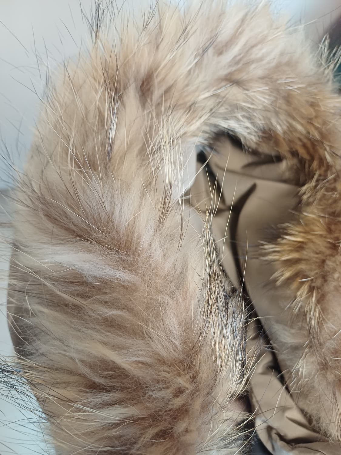 [거위털/풀구성] 지오송지오 리얼 라쿤 퍼 구스다운 사파리 점퍼 상품이미지5