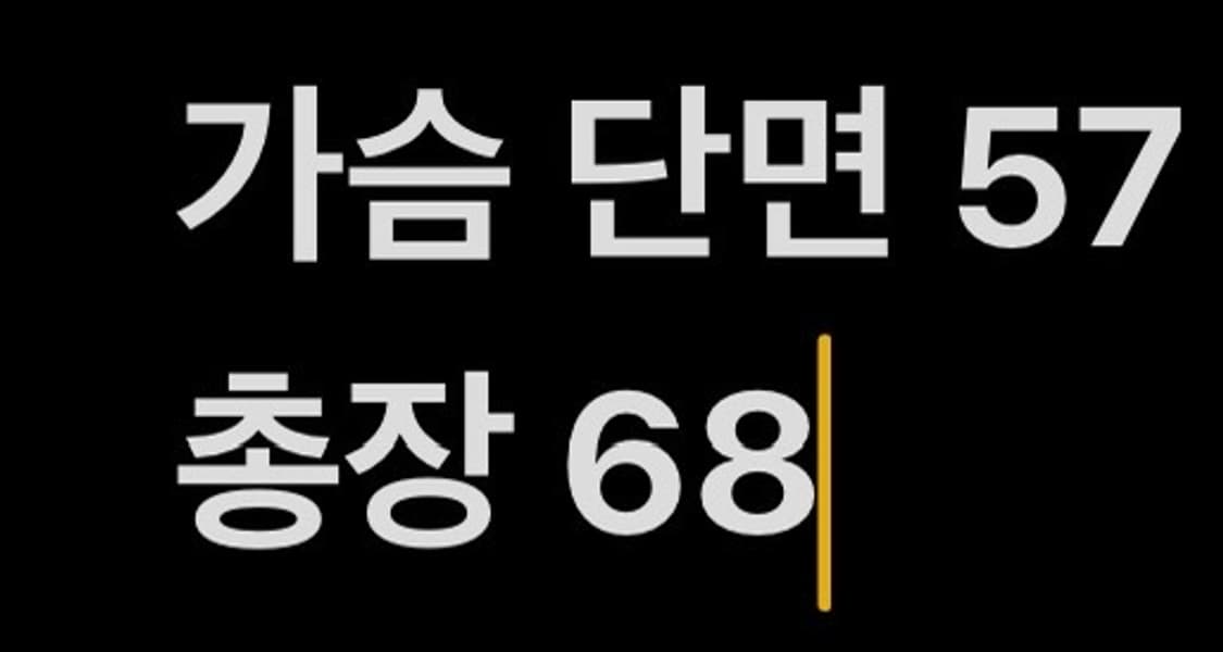 [정품/L] 폴로 랄프로렌 화이트 헨리넥 셔츠 b17 상품이미지7