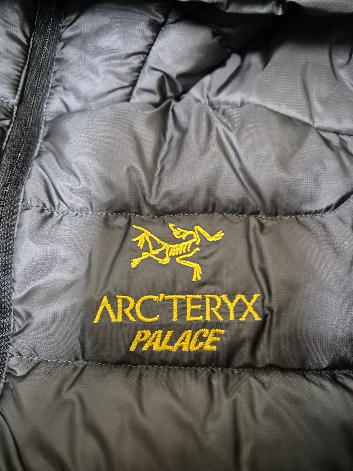 M) 아크테릭스 팔라스 세륨 lt 후디 상품이미지10