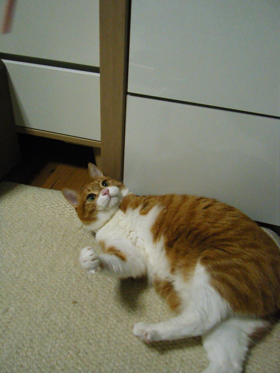 [하자/할인] 후지필름 파인픽스 z200fd (작례O) 상품이미지9