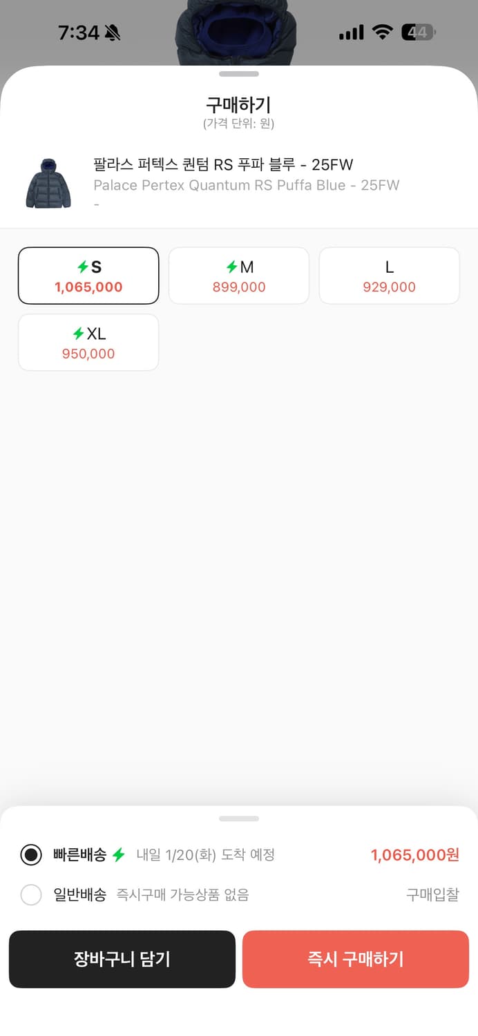 팔라스 퍼펙스 퀸텀 RS 푸파 블루 s 상품이미지2