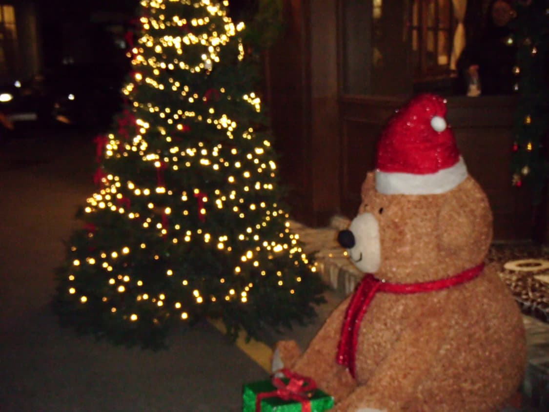 후지 파인필름Z37 디카 상품이미지8