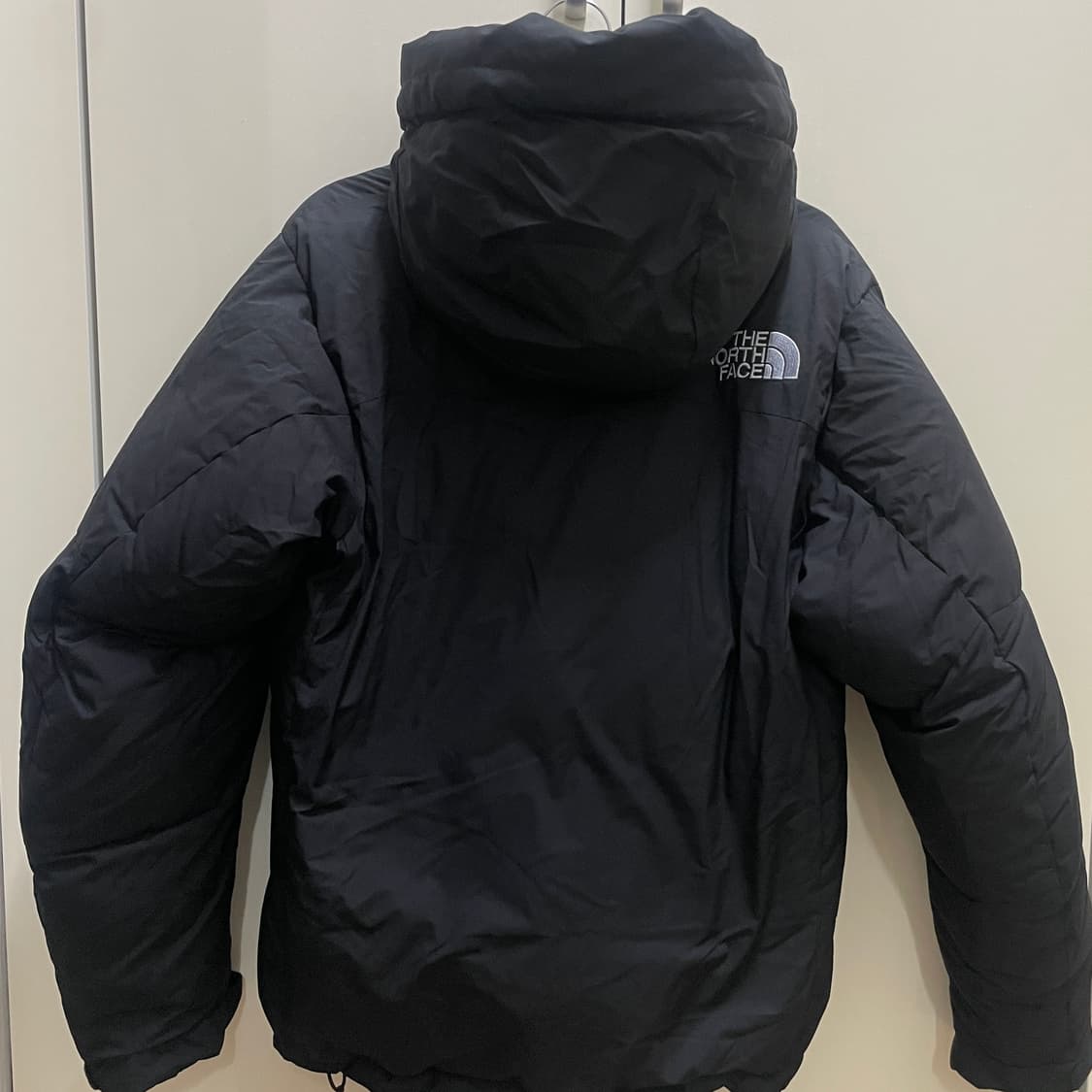 25FW 노스페이스 발토로 라이트 판매 상품이미지2