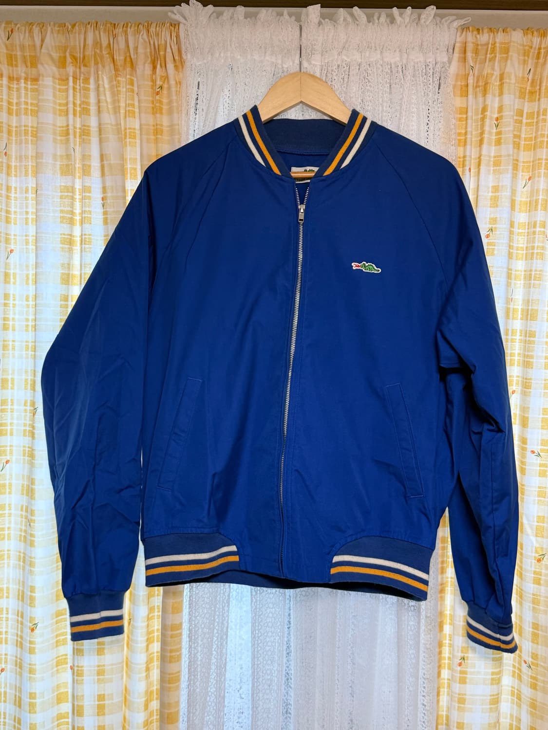 아나토미카 브래긴드래곤 상품이미지1