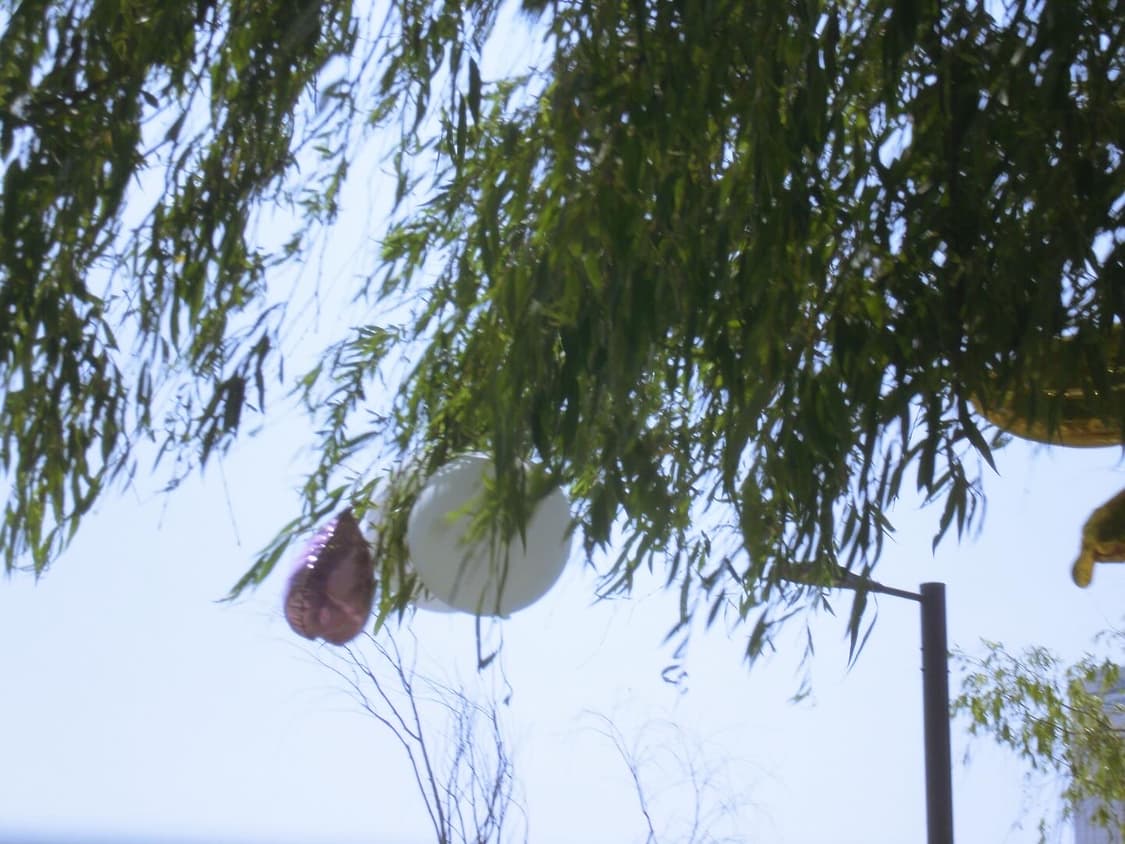 올림푸스 X-920 디지털 카메라 상품이미지4