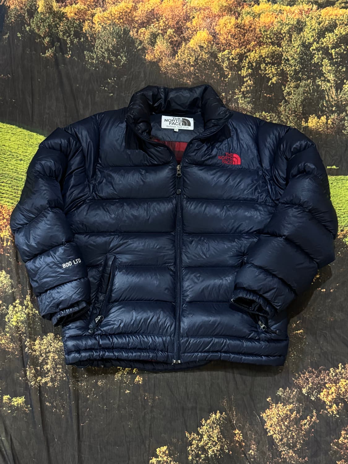 노스페이스 패딩 800LTD 95-100 상품이미지2