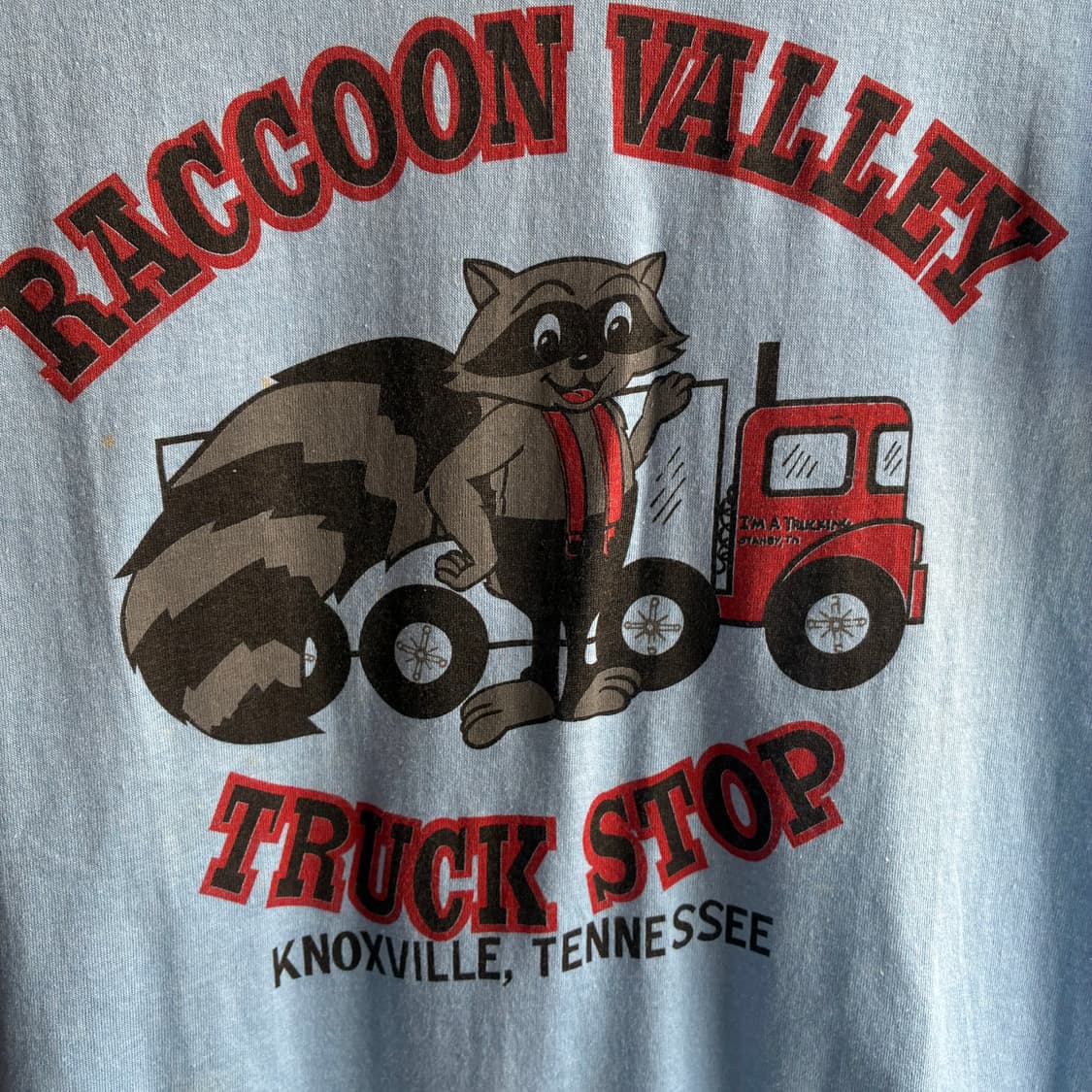 80’s Raccoon Valley Graphic Tee 상품이미지5
