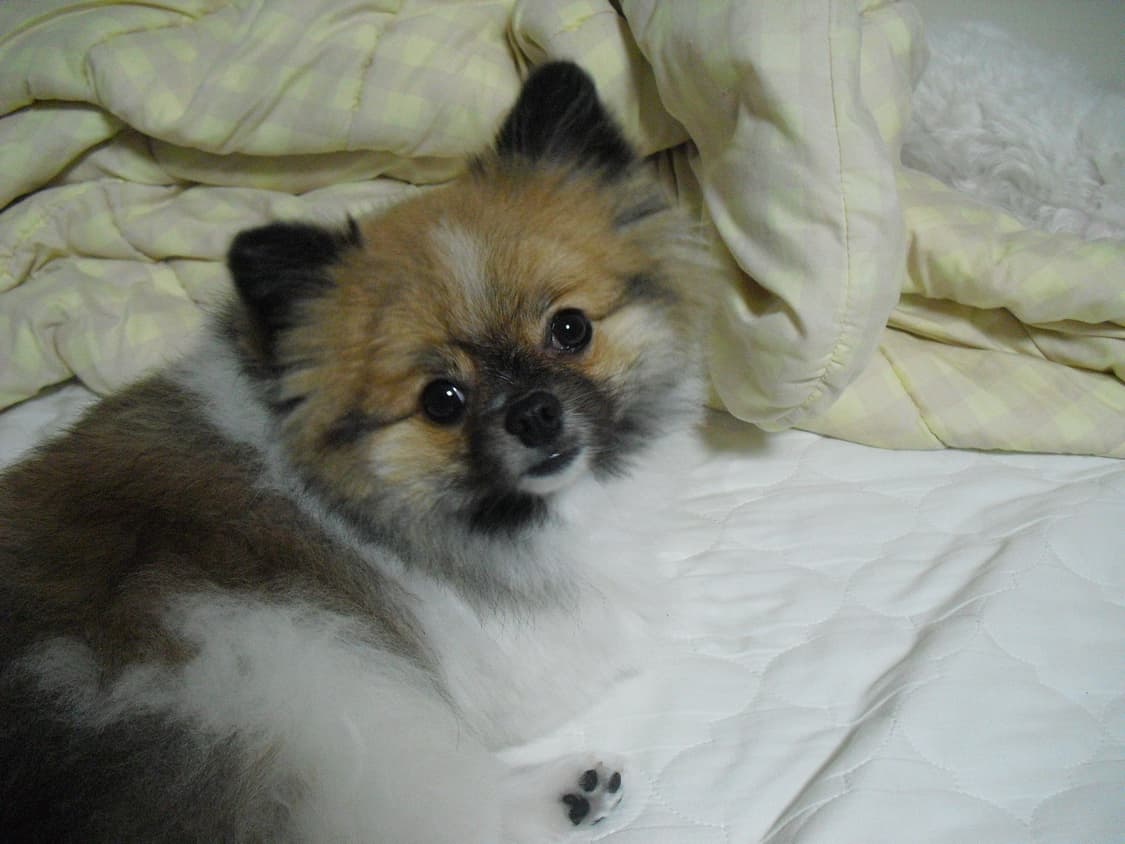 카시오 엑슬림 ex-21 상품이미지8