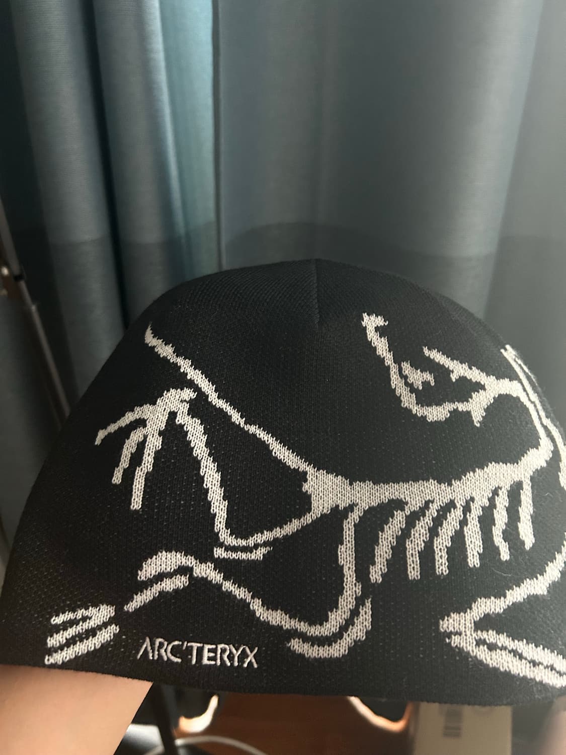 아크테릭스 버드 헤드 토크 오르카 상품이미지2