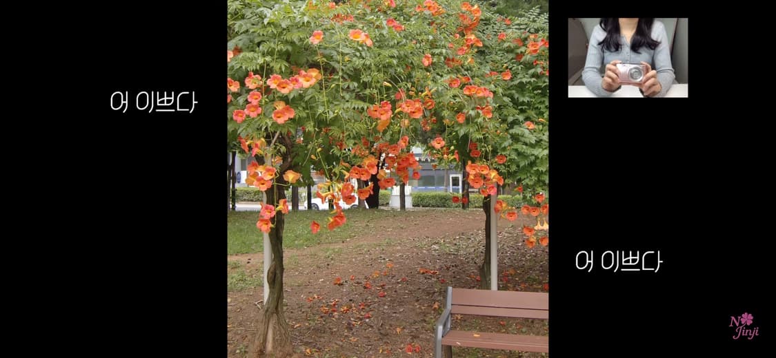 작례,민트급) 카시오 엑슬림 z400 핑크 디지털 카메라 디카 상품이미지4