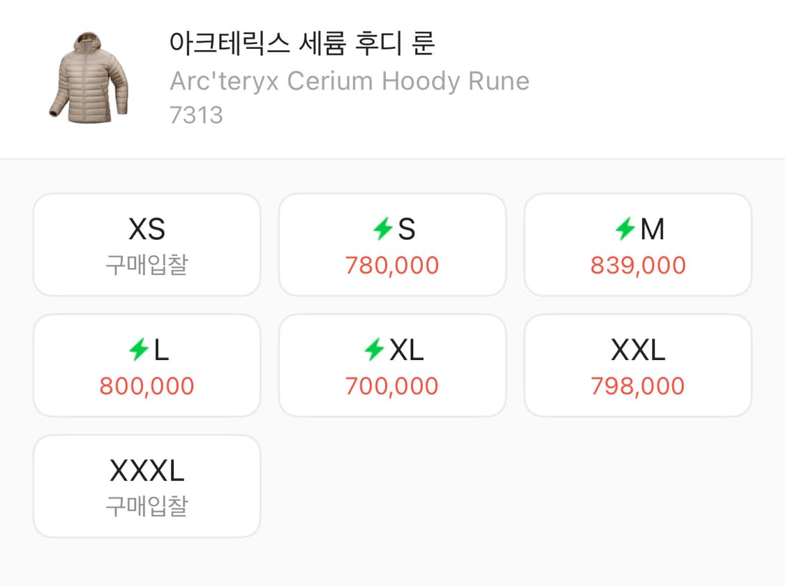 아크테릭스 세륨 후디 룬 L 상품이미지4