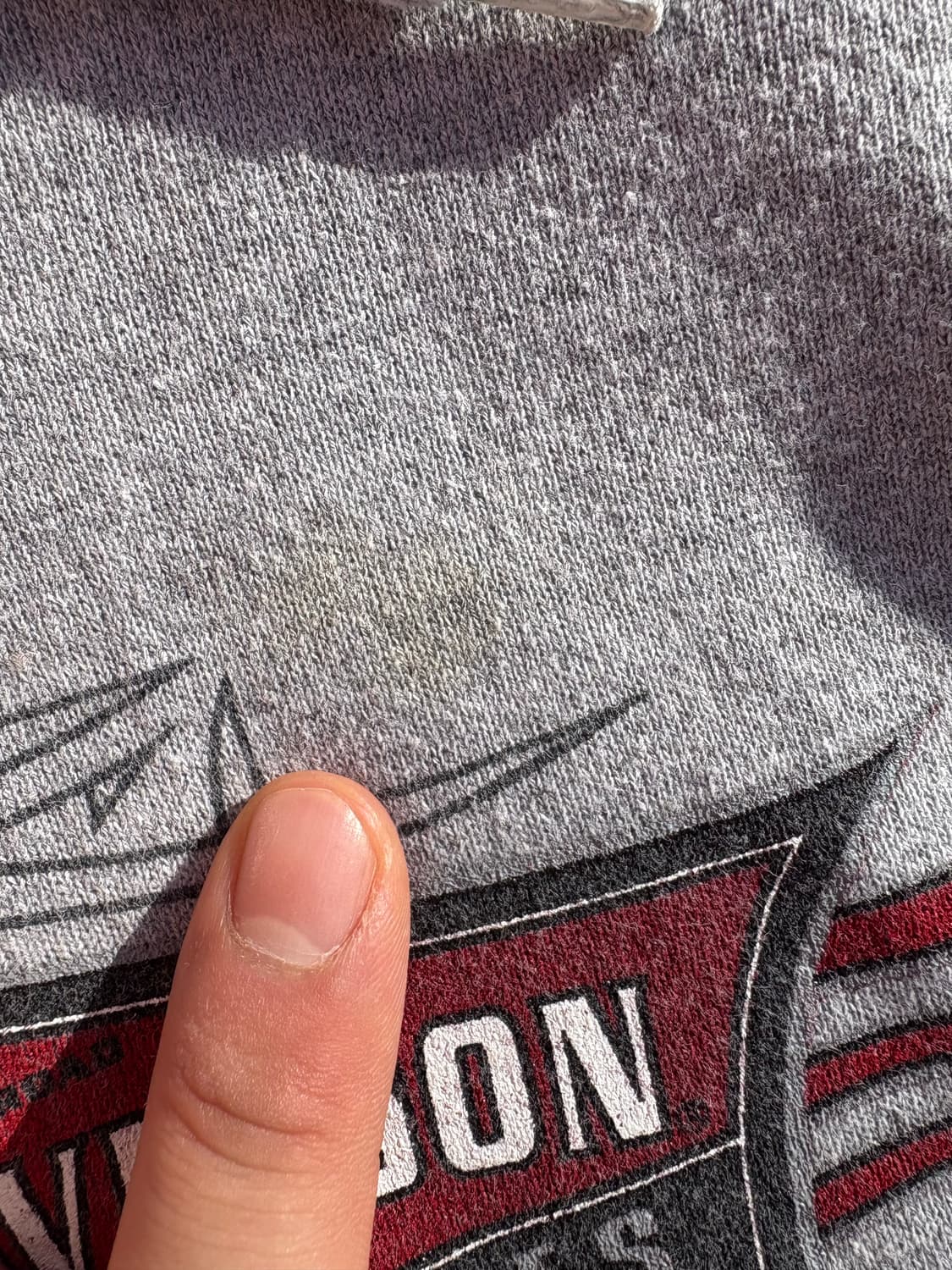 00s 할리데이비슨 후드티 상품이미지3