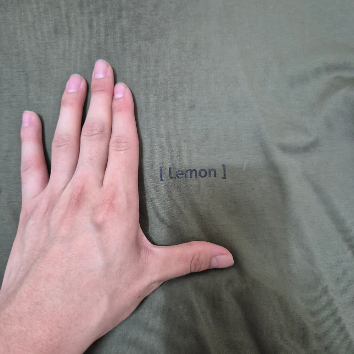 질스튜어트 뉴욕 프린팅 반팔티 상품이미지4