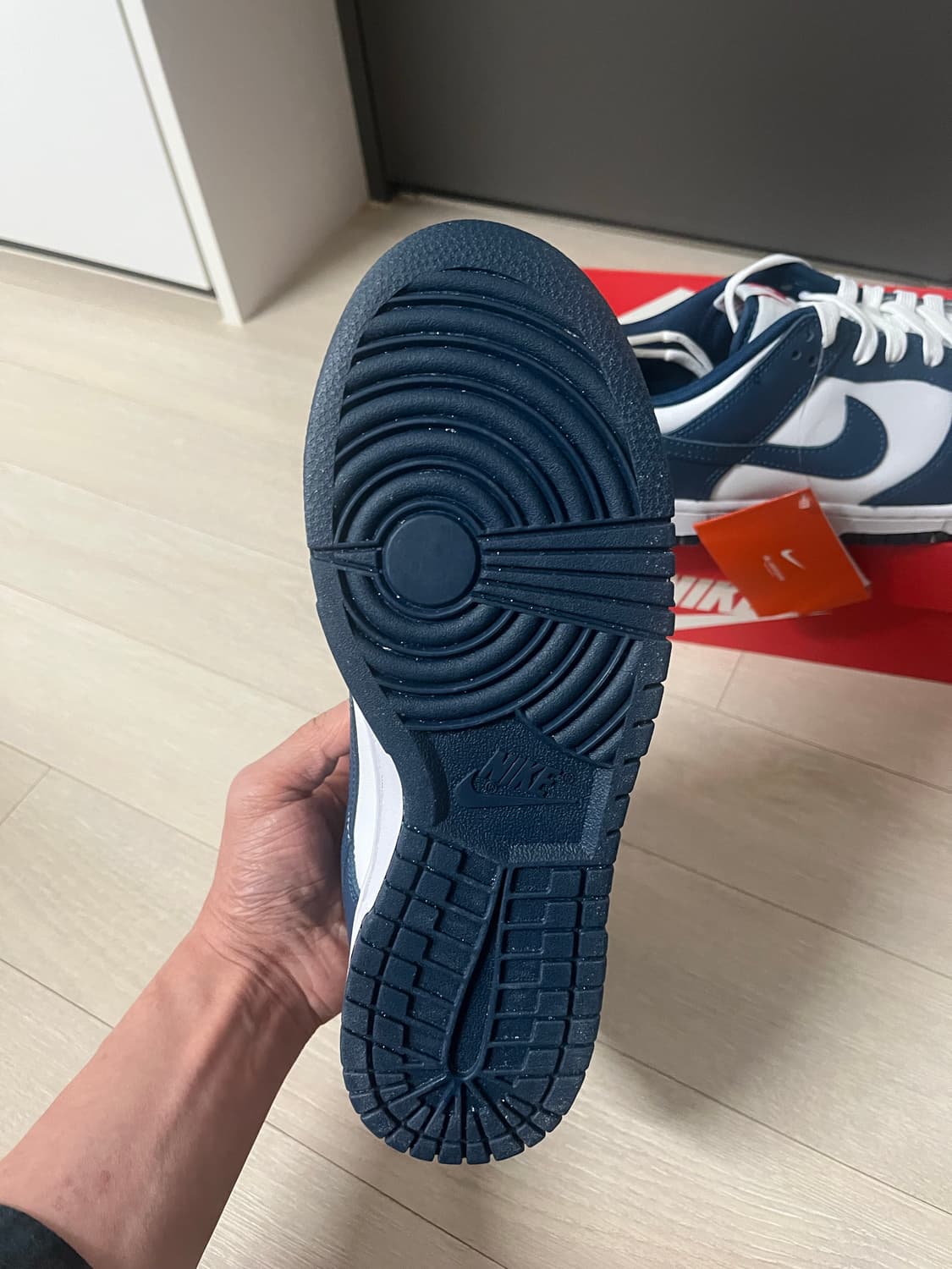 덩크로우 발레리안 블루(새상품) 상품이미지3