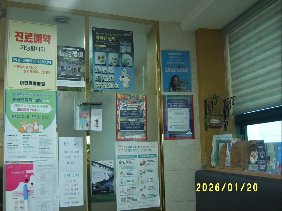 [AA 건전지] 삼성 케녹스 V5 디지털카메라 상품이미지9