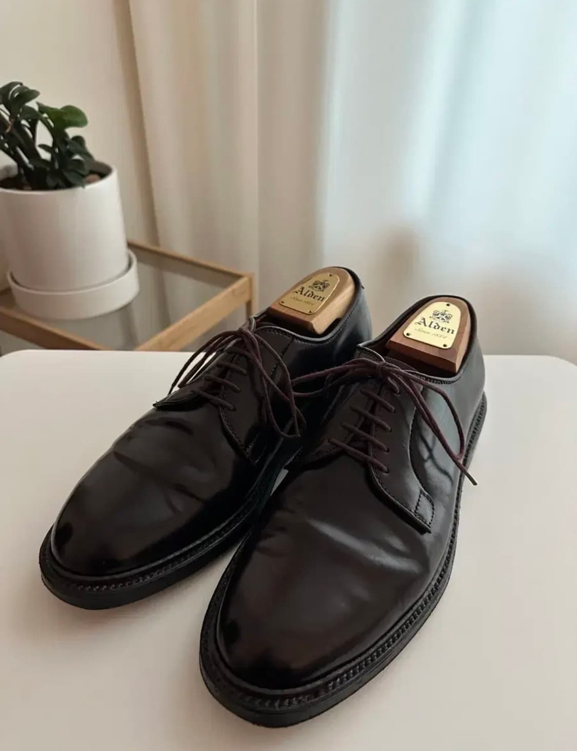 알든 990 8.5D 코도반 상품이미지2