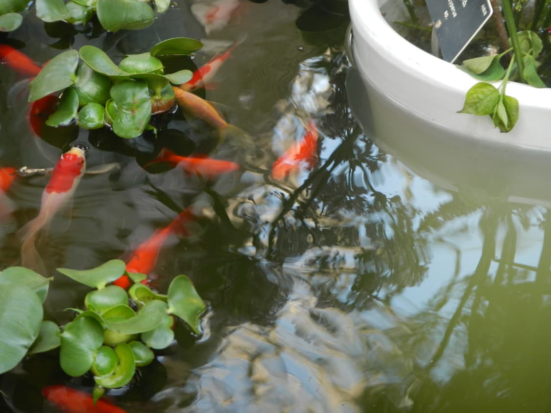 니콘 쿨픽스 카모 aw100 (작례 O) 상품이미지10