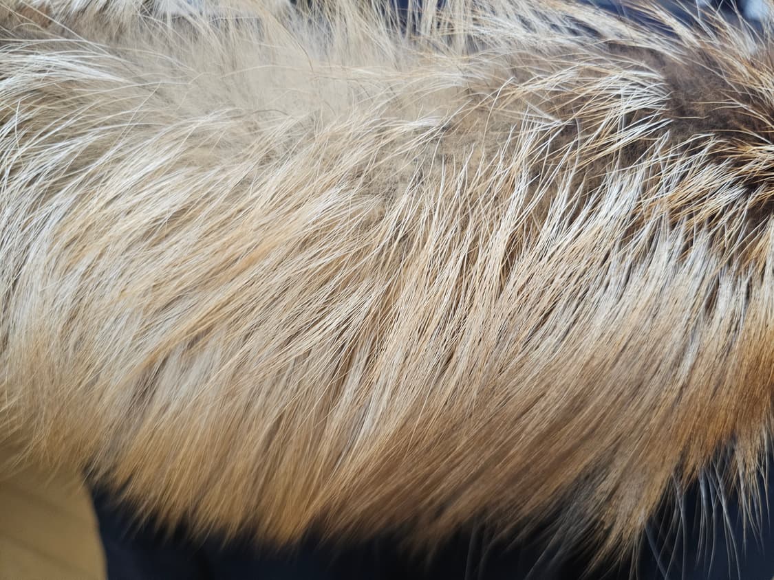 커스텀멜로우 패딩코트 폭스퍼 105 잠바 티아이포맨 시리즈 지오송지오 상품이미지2