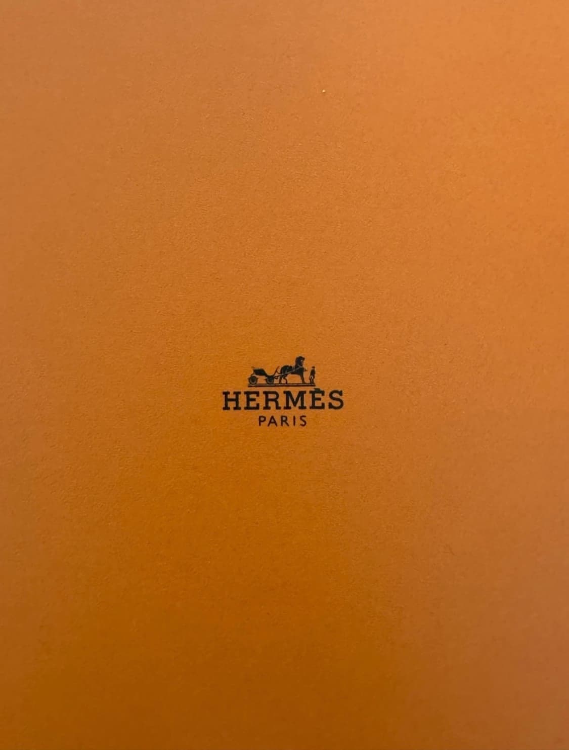 에르메스 H로고 타올 상품이미지2