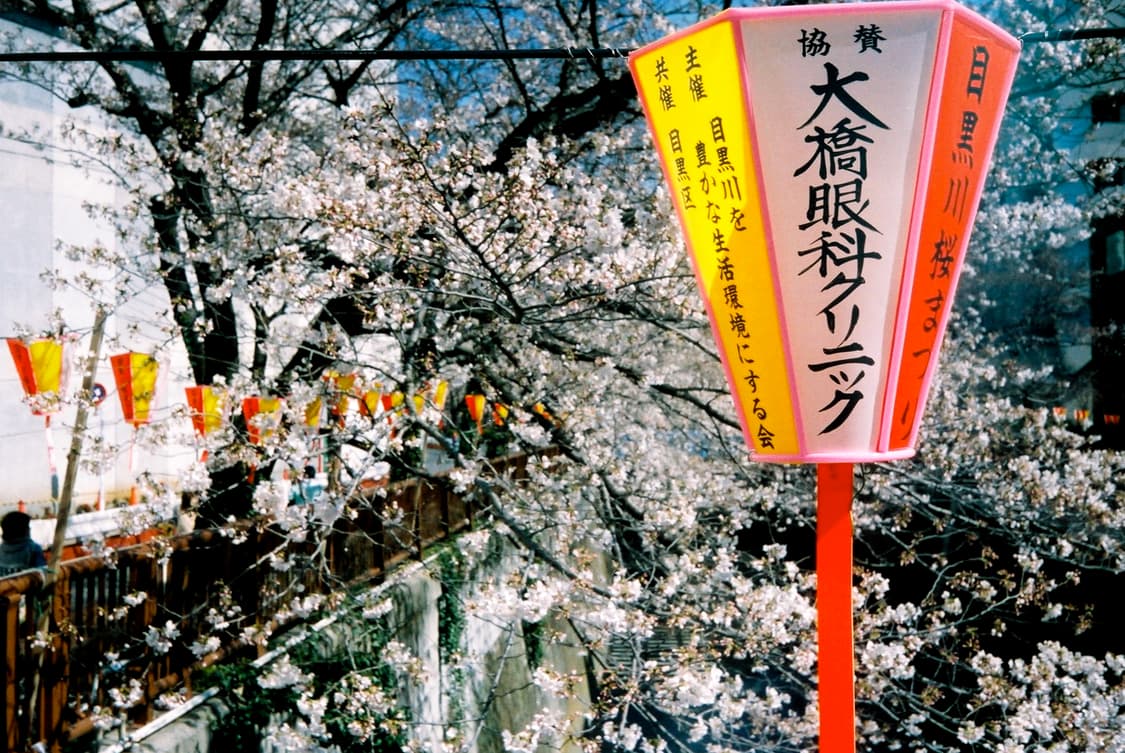 작례O 코니카 ee 매틱 + 코니시로쿠 헥사논 40mm 2.8 필름카메라 상품이미지5