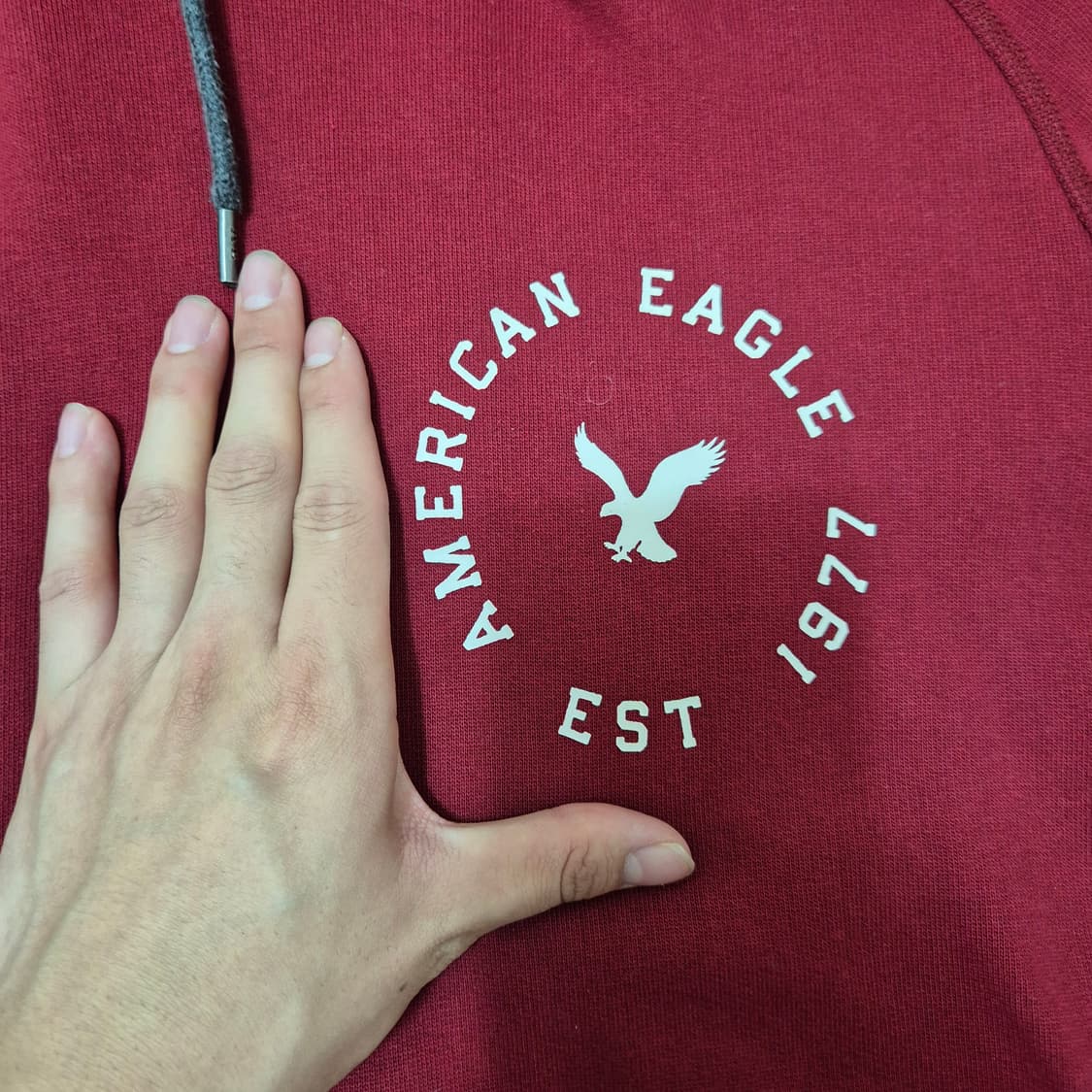 아메리칸 이글 아웃피터스 남성 후드티 상품이미지4