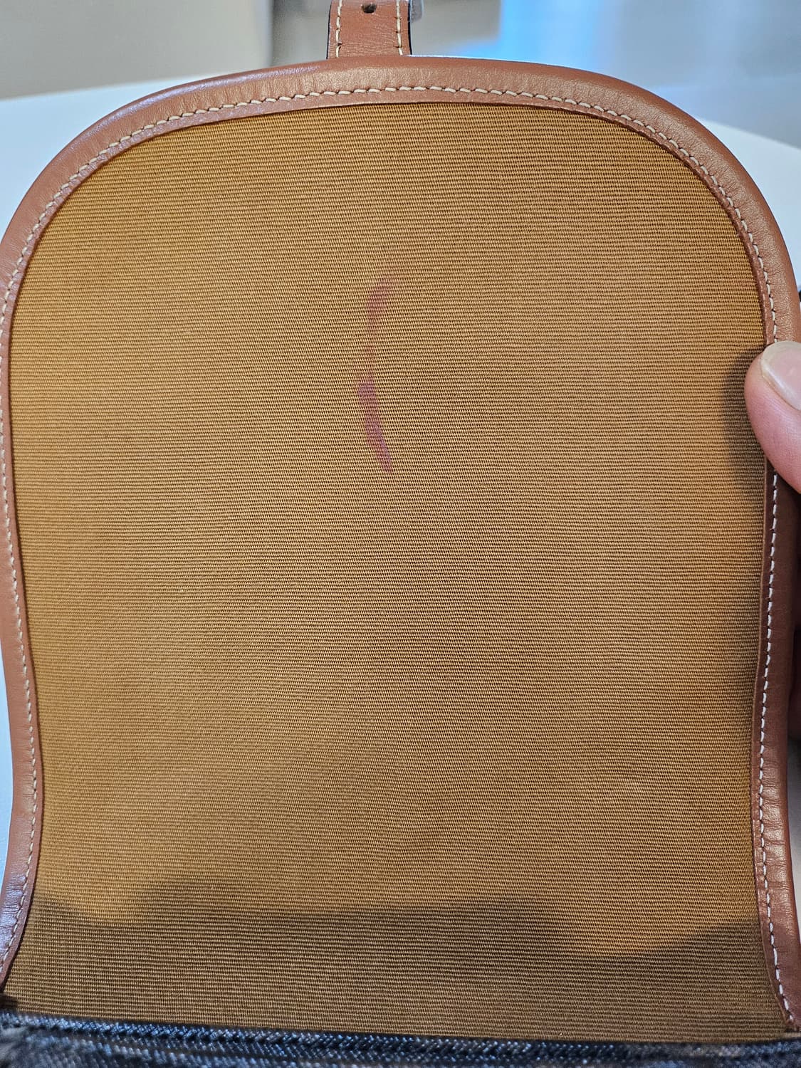 셀린느 트리오페 캔버스 폴코백 미디엄 상품이미지5