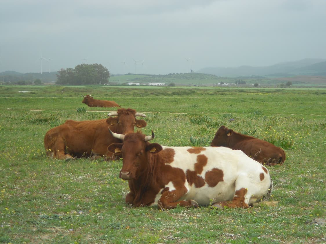 민트✧･ﾟNikon Coolpix S4150 니콘 쿨픽스 S4150 디카 상품이미지4