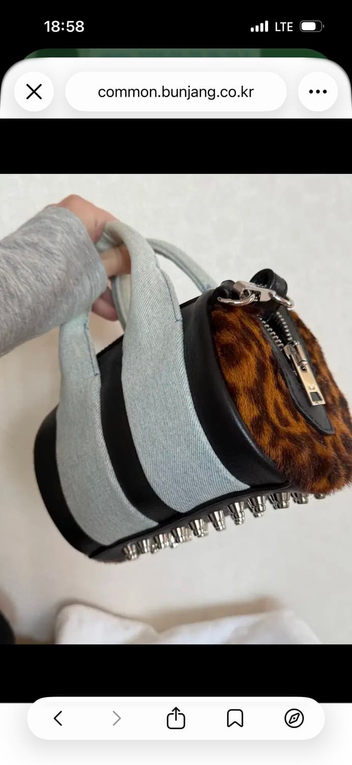 Alexander wang bag 상품이미지1