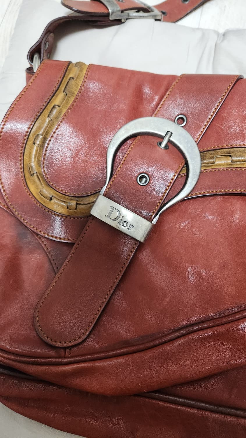 디올 가우초백 상품이미지6