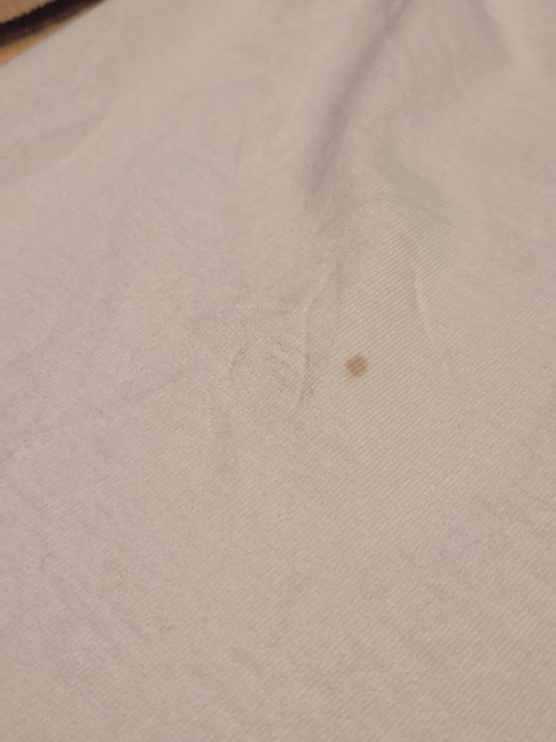 NBC 챔스 트루 게임 체인저 상품이미지3