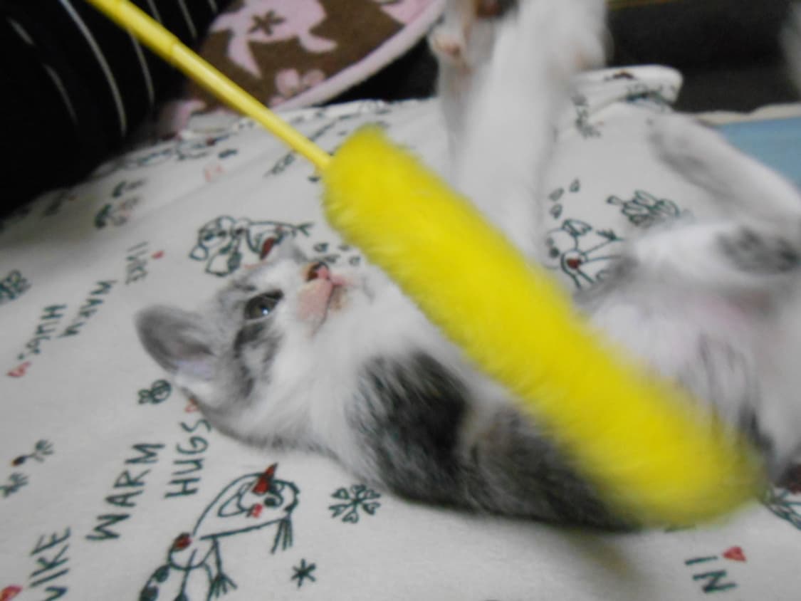 니콘 쿨픽스 Nikon COOLPIX S3300 실버 상품이미지2