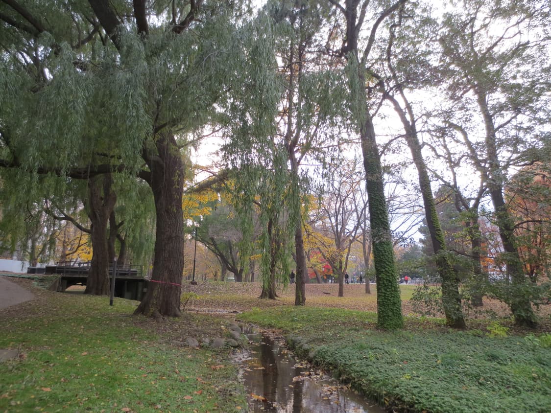 canon lxus 125 hs *작례 *무배 상품이미지9