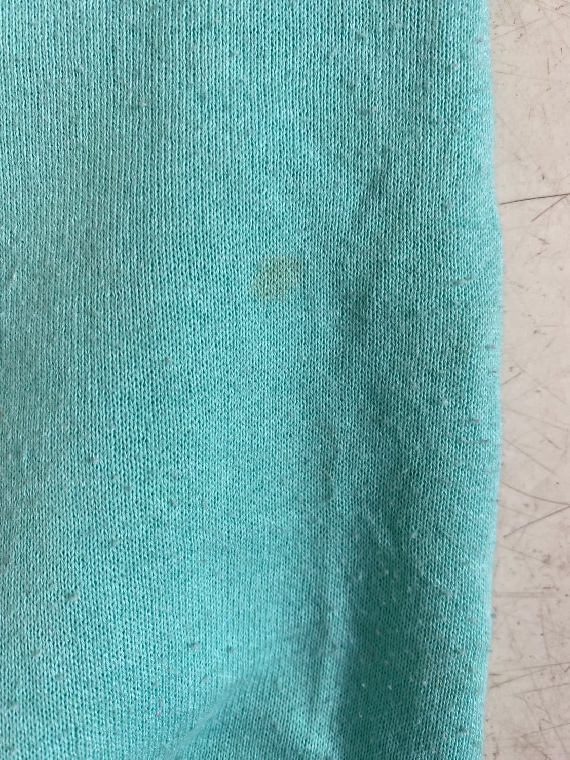 프룻 오브 더 룸 스웻셔츠 (Woman L) AB1749 상품이미지8