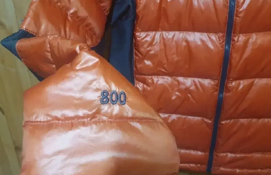 노스페이스 퍼텍스 써밋 800 구스다운 경량패딩 95 100 상품이미지2