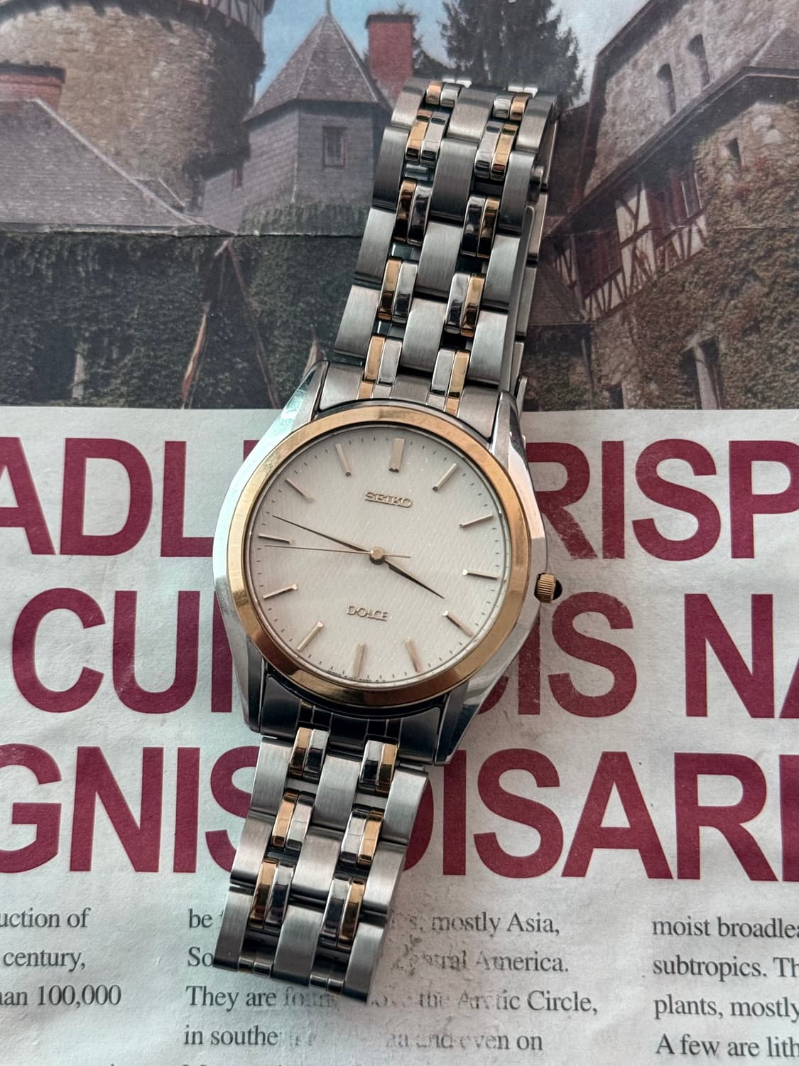 세이코 Seiko Dloce 클래식 콤비 상품이미지1