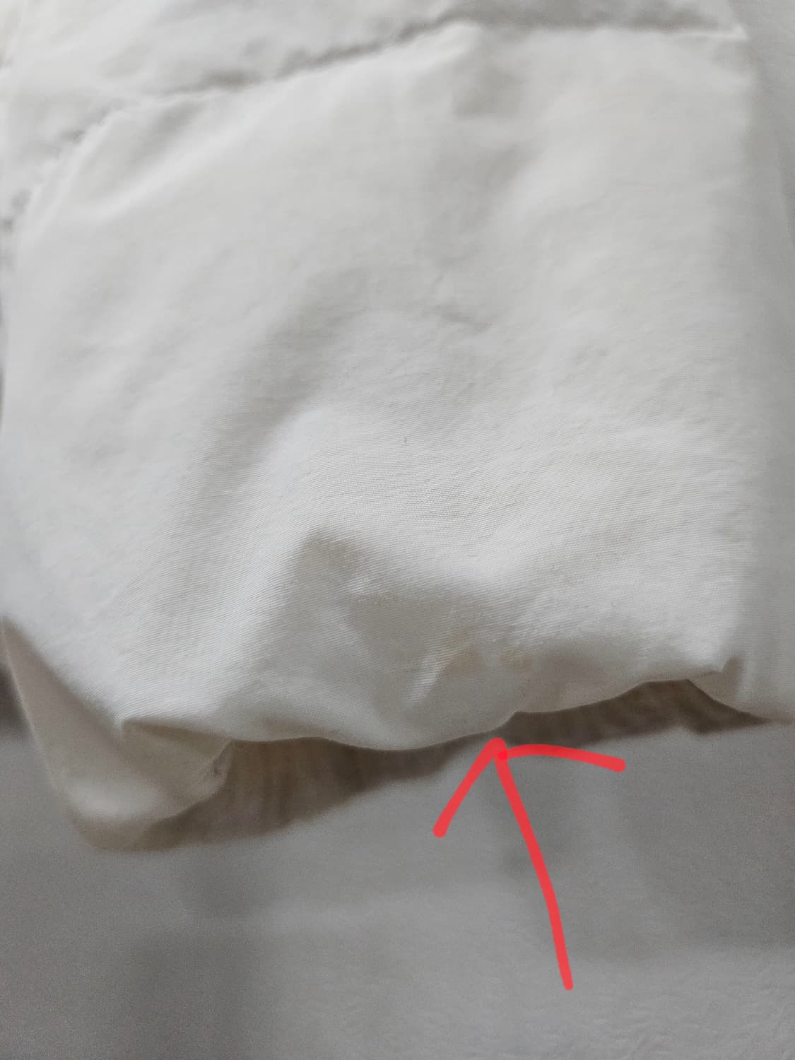 내셔널지오그래픽 아이보리  여성 경량패딩 S 90 상품이미지3