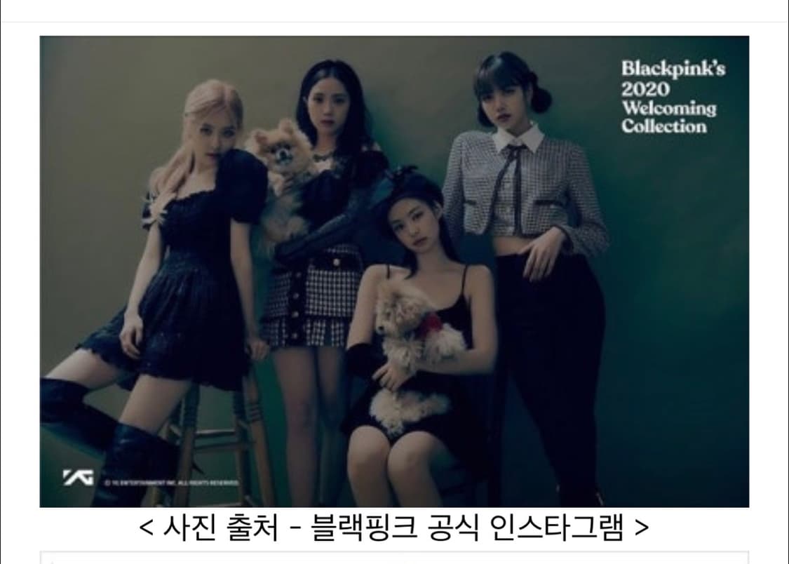 셀프포트레이트 쉬폰 미니 원피스 상품이미지4